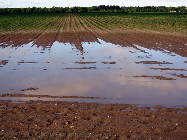 Ruissellement de l'eau et orientation des cultures